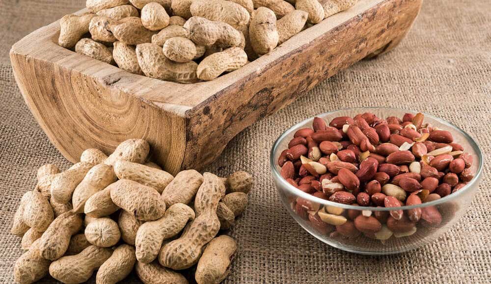 خوردن روزانه این مغز خوشمزه روند پیری را کند می‌کند