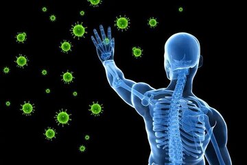 میوههایی که سبب تقویت سیستم ایمنی بدن میشوند
