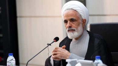 معاون پزشکیان: دولت وقت خود را صرف حاشیه‌سازان نمی‌ کند