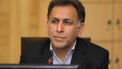نماینده مجلس: برای خروج از NPT عجله نمی‌کنیم / برای خروج از ان‌پی‌تی یا بستن تنگه هرمز کل نظام تصمیم می‌گیرد/ در بحث دفاعی عقب‌نشینی نمی‌کنیم