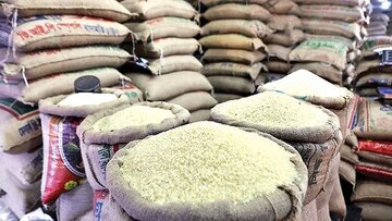 برنج ایرانی ارزان شد/ اعلام نرخ هر کیلو برنج برای مصرف کننده