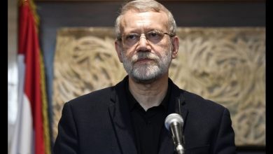 لاریجانی: جبهه مقاومت سرمایه ملی کشورهاست/ با بسط همکاری میان ایران و کشورهای منطقه موافقیم