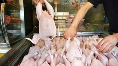 قیمت انواع گوشت مرغ در تهران اعلام شد
