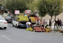 برخورد شهرداری با سدمعبر وانتی‌ها در تهران