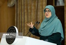 سخنگوی دولت: تقسیم‌کار برای تسهیل سفر اربعین انجام شده است