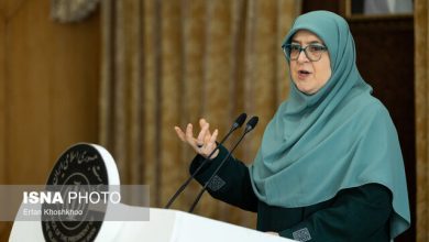 سخنگوی دولت: تقسیم‌کار برای تسهیل سفر اربعین انجام شده است