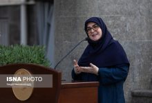 مهاجرانی: با تقویت نهادهای قانونی، مسیر توسعه هموارتر می‌شود