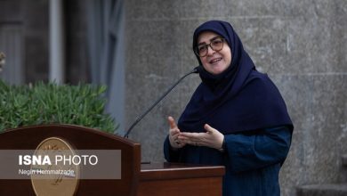 مهاجرانی: با تقویت نهادهای قانونی، مسیر توسعه هموارتر می‌شود