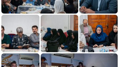 دریابیگی: رسانه می‌تواند موج آفرین باشد