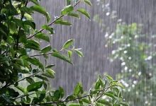 وقوع بارش پراکنده باران در شمال غرب و سواحل دریای خزر