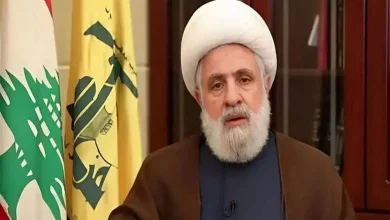 نعیم قاسم: از ایران تشکر می کنیم/ ما با مقاومت و فلسطین هستیم