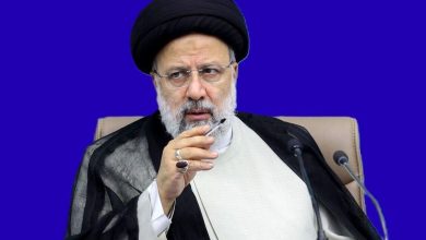 برادر داماد مرحوم رئیسی، او را «شهید ترور» خواند