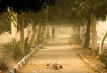 تهرانی‌ها امروز و فردا مواظب طوفان باشند