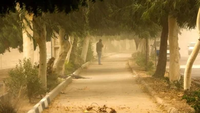 تهرانی‌ها امروز و فردا مواظب طوفان باشند