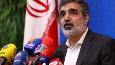 سخنگوی سازمان انرژی اتمی: بازرسان آژانس بر تعویض سوخت نیروگاه اتمی بوشهر نظارت می‌کنند