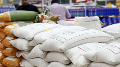توزیع برنج وارداتی در دست دولت؛ بازار در آستانه تغییر!