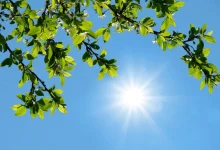 کاهش دما از یکشنبه آینده؛ منتظر بارش باشید