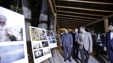 بانک صادرات ایران، حامی نهمین جشن عکاسان سینمای ایران/ محسن سیفی: اقتصاد بدون فرهنگ پایدار نیست