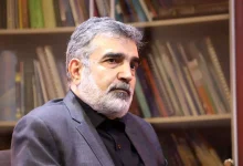 سخنگوی سازمان انرژی اتمی: با روسیه درباره ساخت نیروگاه‌های بزرگ‌تر از بوشهر مذاکره کردیم