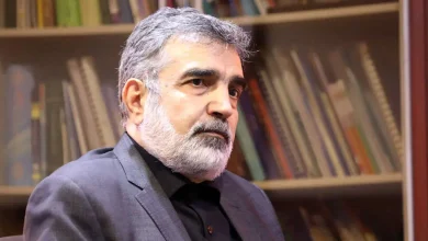 سخنگوی سازمان انرژی اتمی: با روسیه درباره ساخت نیروگاه‌های بزرگ‌تر از بوشهر مذاکره کردیم