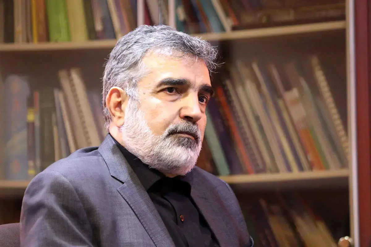 سخنگوی سازمان انرژی اتمی: با روسیه درباره ساخت نیروگاه‌های بزرگ‌تر از بوشهر مذاکره کردیم