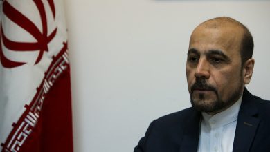 پاسخ بقائی به مفقود شدن امیر موسوی در مصر