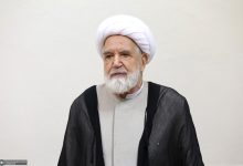 اولین تصویر از دیدار عارف با کروبی