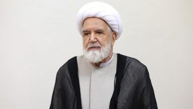 اولین تصویر از دیدار عارف با کروبی