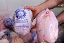 تکذیب قیمت مرغ/ توضیح مدیرعامل سازمان مدیریت میادین میوه و تره‌بار