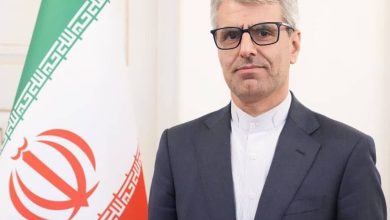 بقائی:پکن شریک راهبردی تهران است/شانگهای با صدای واحد مخالفت خود را با اقدام تروئیکای اروپا اعلام کند/تسلیم نمی‌شویم