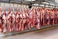 رئیس شورای تامین دام کشور خبر داد؛ واردات ۲۰۰ هزار تنی گوشت قرمز برای تنظیم بازار/ قیمت گوشت ارزان می شود؟