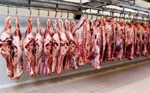 رئیس شورای تامین دام کشور خبر داد؛ واردات ۲۰۰ هزار تنی گوشت قرمز برای تنظیم بازار/ قیمت گوشت ارزان می شود؟