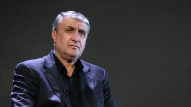 هشدار اسلامی درباره مخالفت با پیش‌نویس قطعنامه ایران / حمایت کشورهای عربی از ایران در نشست آژانس و تاسف آمریکا و اسرائیل