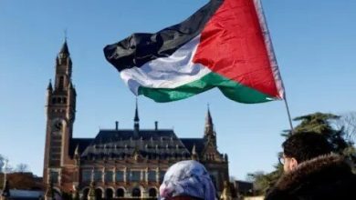 استقبال کشورهای عربی از شناسایی کشور فلسطین توسط اروپایی‌ها