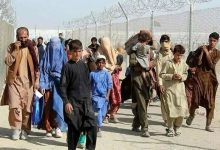 استاندار تهران: از ابتدای امسال تاکنون، یک میلیون و چهارصد هزار نفر از اتباع غیر مجاز کشور طرد شدند/ با خروج این افراد، بیش از ۳ هزار کلاس درس آزاد شد؛ ۳۰ تا ۳۵ درصد کاهش اجاره هم رخ داده/ از هفته جاری نیز مرحله دوم طرد این اتباع آغاز می‌شود