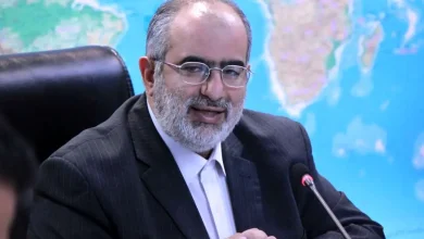 واکنش آشنا به اجرای اسنپ بک: دعوا سر لحاف ملا بود