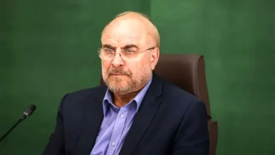 توضیحات جواد موگویی درباره سانسور مصاحبه قالیباف در صدا و سیما