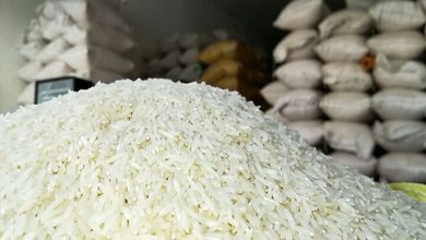 بعد از چای دبش، حالا نوبت برنج دبش است/ این حجم رانت به جیب چه کسی میرود؟