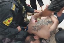 اراذل پارک ارم دستگیر شدند / پایان فرار اوباشی که نزاع خونین راه انداختند