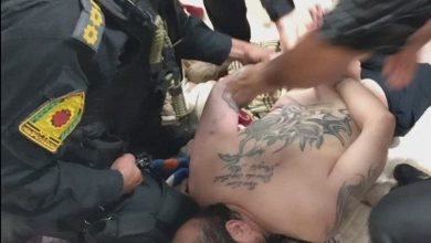 اراذل پارک ارم دستگیر شدند / پایان فرار اوباشی که نزاع خونین راه انداختند