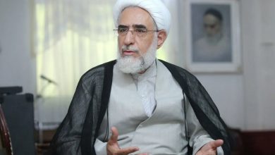 انتقاد منتجب نیا از طرح وزارت کشور برای تناسبی شدن انتخابات/ تازه به دوران رسیده‌ها نامزد انتخابات شوراها نشوند
