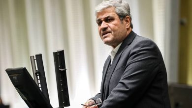تاجگردون: مسئولیت تصمیمات ارزی دولت فقط به گردن بانک مرکزی نیست/ همه کسانی که در دولت حضور دارند نسبت به تصمیمات آن مسئول هستند