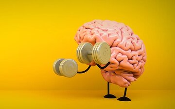 عملکرد مناسب مغز با مصرف این ماده معدنی