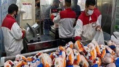 اخطار وزیر جهاد کشاورزی به بازار مرغ/ مرغ را گران‌تر از این قیمت نفروشید
