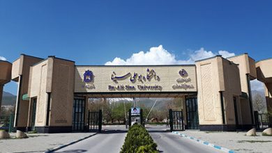 معاون وزیر علوم: حواشی دانشگاه بوعلی بزرگنمایی شد، اما برخورد می‌کنیم/ ماجرای رفتار غیراخلاقی دانشجویان خارجی چه بود؟