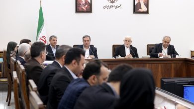 عارف: تشکل‌های محیط زیستی به دلیل برخوردهای امنیتی که در گذشته با آنها شد، با احتیاط عمل می‌کنند