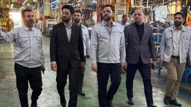 همافزایی تولید ملی و نظام بیمهای