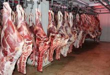 توزیع گوشت وارداتی با قیمت زیر ۷۰۰ هزار تومان از هفته آینده