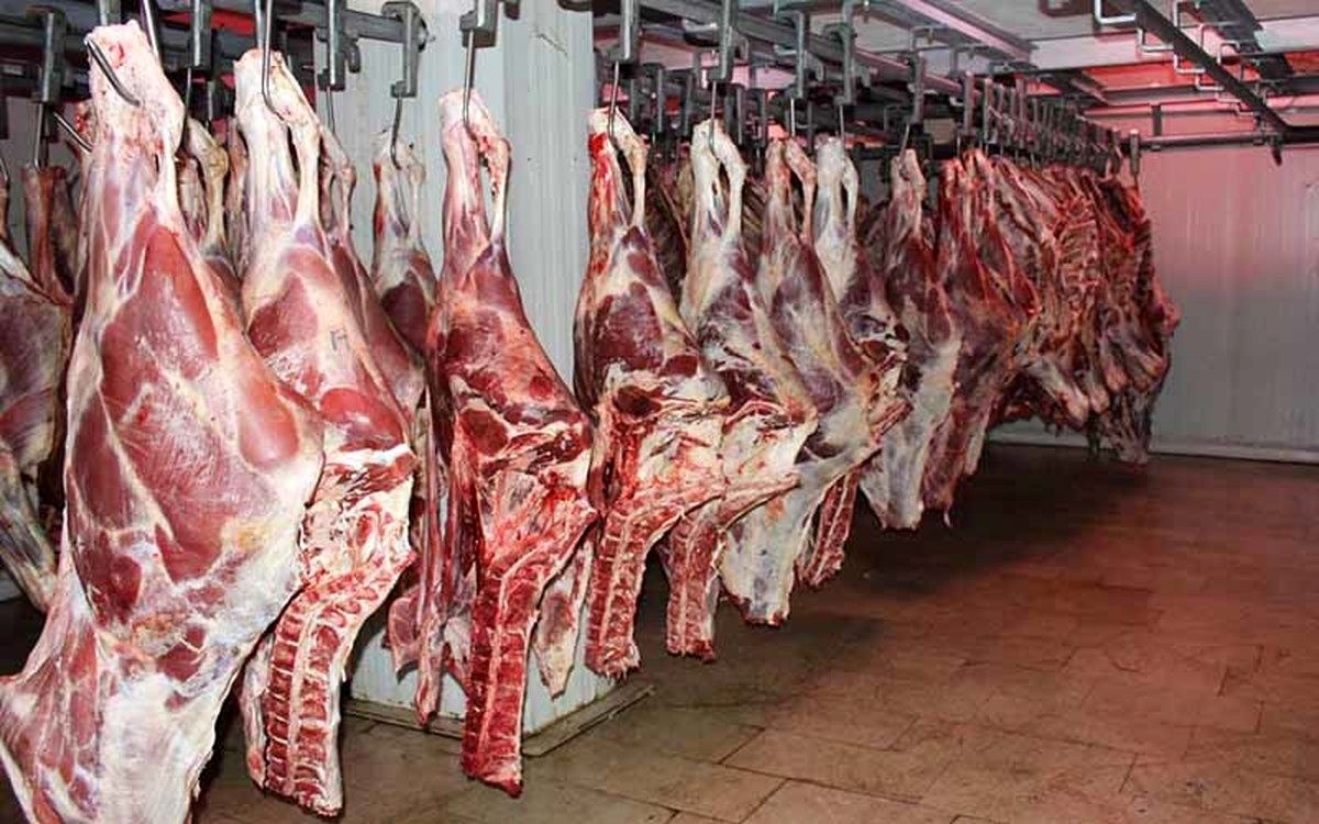 توزیع گوشت وارداتی با قیمت زیر ۷۰۰ هزار تومان از هفته آینده