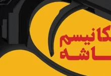 120 کشور جهان اعلام کرده اند مکانیسم ماشه را به رسمیت نمی شناسند